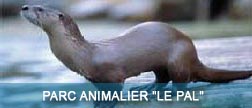 Parcs animaliers et de loisirs : Le Pal  Dompierre sur Besbre (Allier)