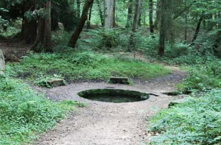 La Fontaine Viljot dans la forêt de Tronçais (Allier)