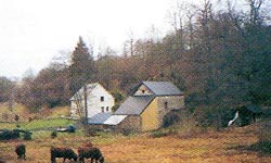 Le Moulin du Poisson  Bourg-Lastic (Puy-de-Dme)